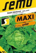 3833-semo-zelenina-salat-hlavkovy-jupiter.jpg