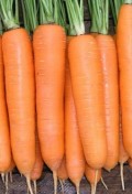 carrots-karlena-5g-4500-seeds-152-1.jpg