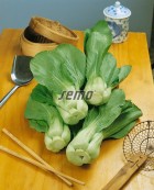 4458-semo-zelenina-cinske-zeli-cash-typ-pak-choy2.jpg