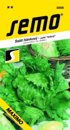 3855-salat-hlavkovy-maximo_1.jpg