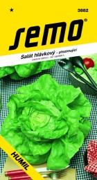 3882-salat-hlavkovy-humil_1.jpg